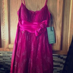 New with tags. Size 5 short dress.